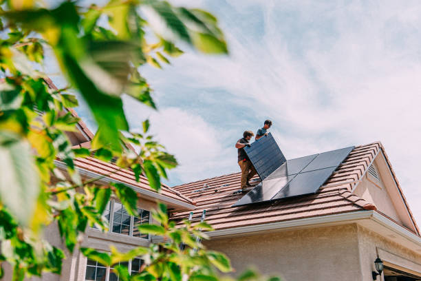 Best Flat Roof Repair Services  in Cold Spring, MN