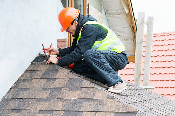 Best Roof Waterproofing Services  in Cold Spring, MN